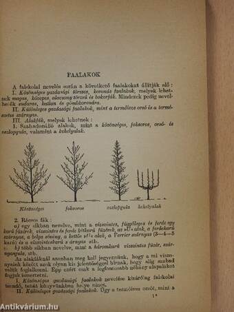 Általános gyümölcstermesztés és értékesítés I-II.