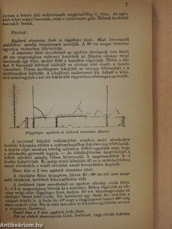 Általános gyümölcstermesztés és értékesítés I-II.