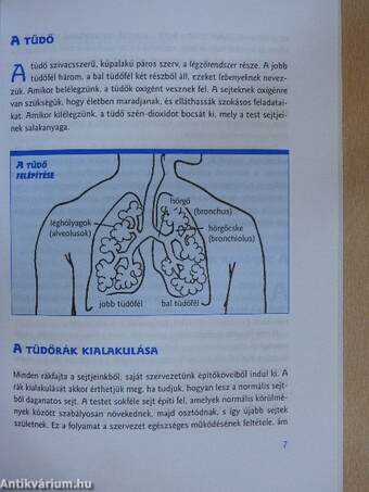 Amit a tüdőrákról tudni kell