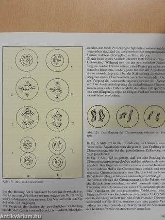 Das Wellensittichbuch