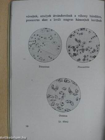 A női ivarhormonok és gyakorlati alkalmazásuk