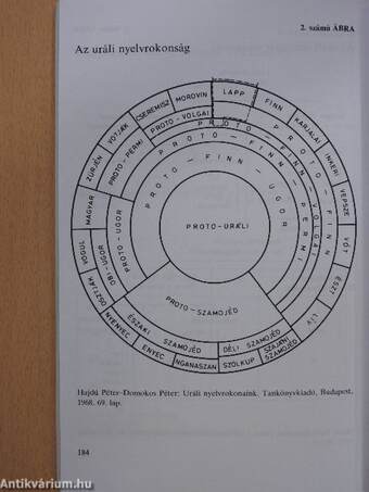 Magyar nyelv IV.