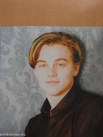 Leonardo DiCaprio: Romantic Hero