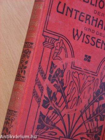 Bibliothek der Unterhaltung und des Wissens 1907/9. (gótbetűs)