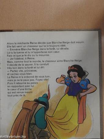 Blanche-Neige et les 7 nains