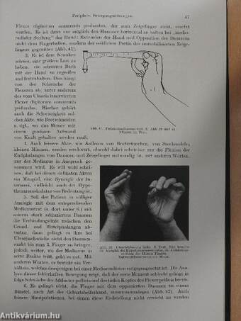 Die Neuropathologischen Syndrome