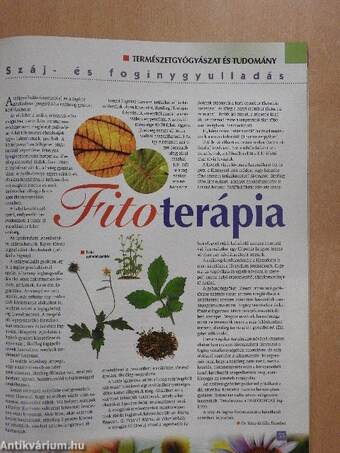 Természetgyógyász magazin 2006. (nem teljes évfolyam)