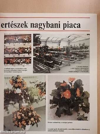 Kertészet és Szőlészet 1991. január 24.