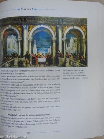 Die Illustrierte Bibel