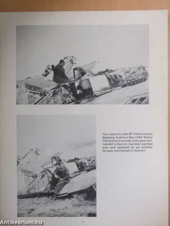 Fighter Pictorials - BF109G/K part II