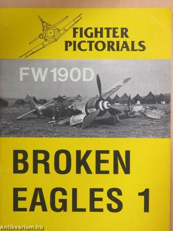 Fighter Pictorials - FW190D