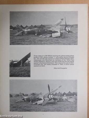 Fighter Pictorials - FW190D