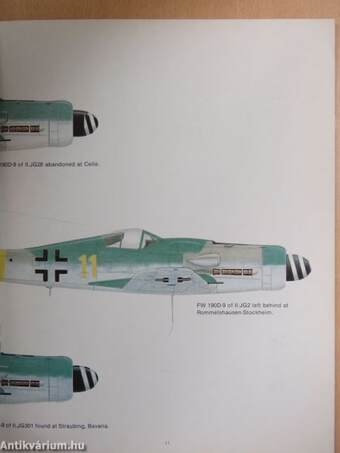 Fighter Pictorials - FW190D