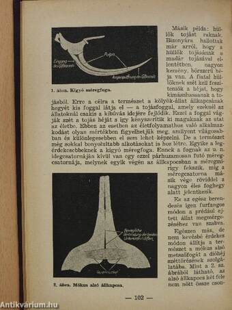 Életreform 1935. január 19.-december 18.