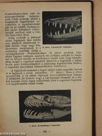 Életreform 1935. január 19.-december 18.