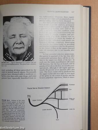 The Facial Nerve