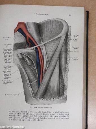 A sebészet tankönyve II-III. (töredék)