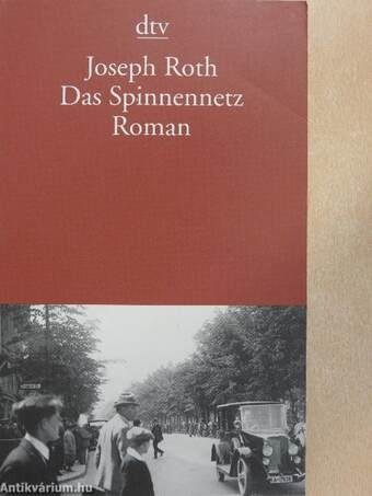 Das Spinnennetz