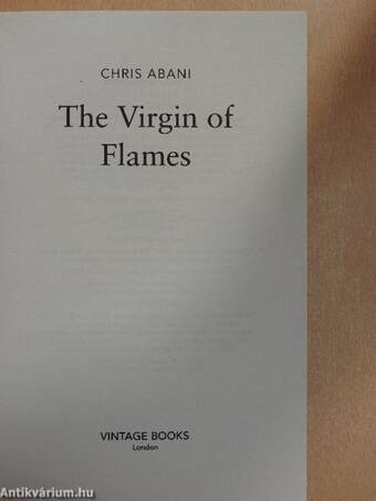 The Virgin of Flames