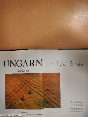 Ungarn im Herzen Europas