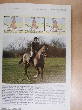 The rider's handbook