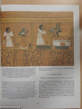 The Ancient Egyptian Book of the Dead