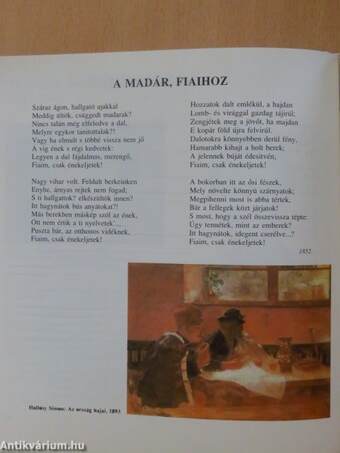 Magyar irodalom 7.