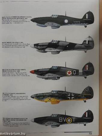 Military Aircraft Markings & Profiles