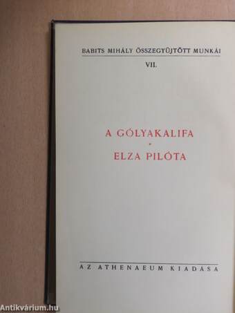 A gólyakalifa/Elza pilóta