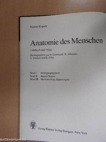 Anatomie des Menschen