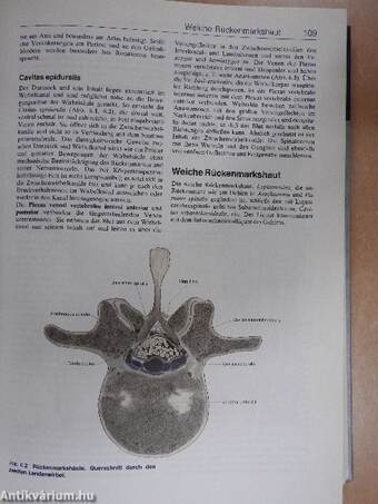 Anatomie des Menschen