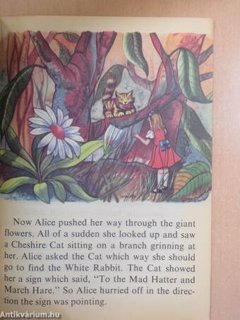 Alice in Wonderland