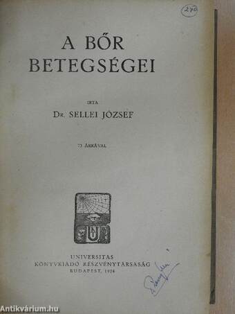 A bőr betegségei