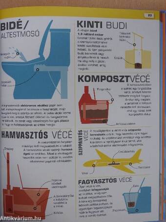 Ezt NEM HISZEM el! - Kakatények