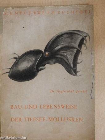 Bau und lebensweise der Tiefsee-mollusken