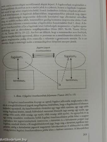 Diszciplínák találkozása - nyelvi közvetítés a XXI. században