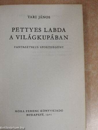 Pettyes labda a világkupában