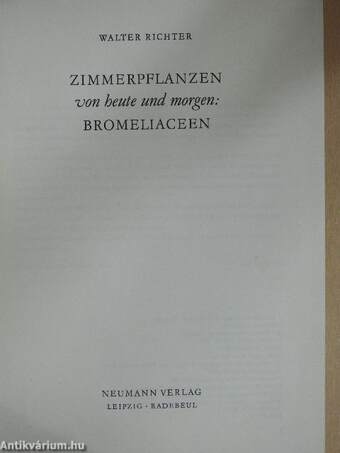 Zimmerpflanzen von heute und morgen: Bromeliaceen