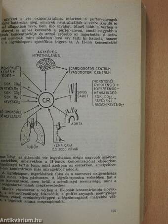 A munkaköri alkalmasság orvosi megállapításának irányelvei I.