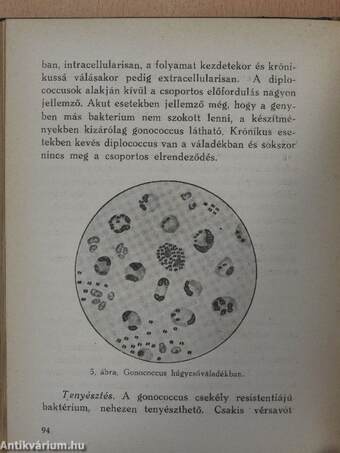 Bakteriológiai és serológiai vizsgálatok