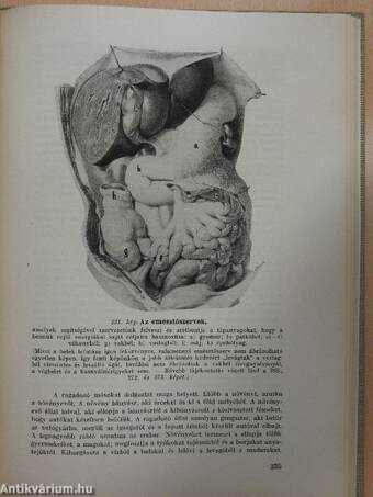 Az emberi test csodái I-II.