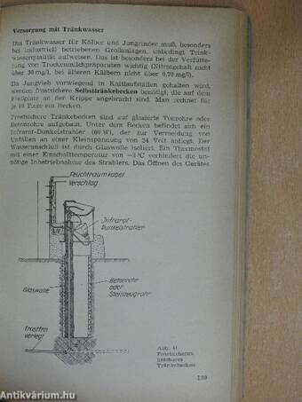 Produktion von Rindern