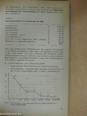 Produktion von Rindern