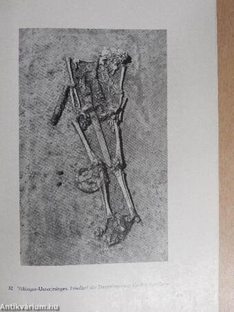 Archäologische Ausgrabungen 1976