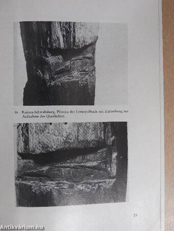 Archäologische Ausgrabungen 1976