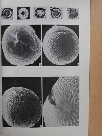 Taxonomy and pollen morphology of Poeciloneuron (Guttiferae) (dedikált példány)