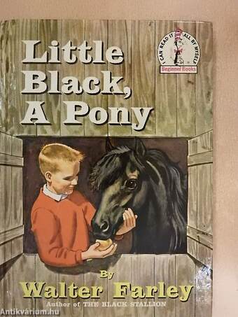 Little Black, A Pony