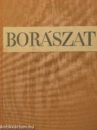 Borászat