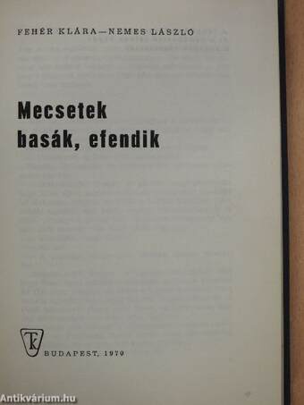 Mecsetek, basák, efendik