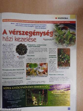 Természetgyógyász Magazin 2008. szeptember